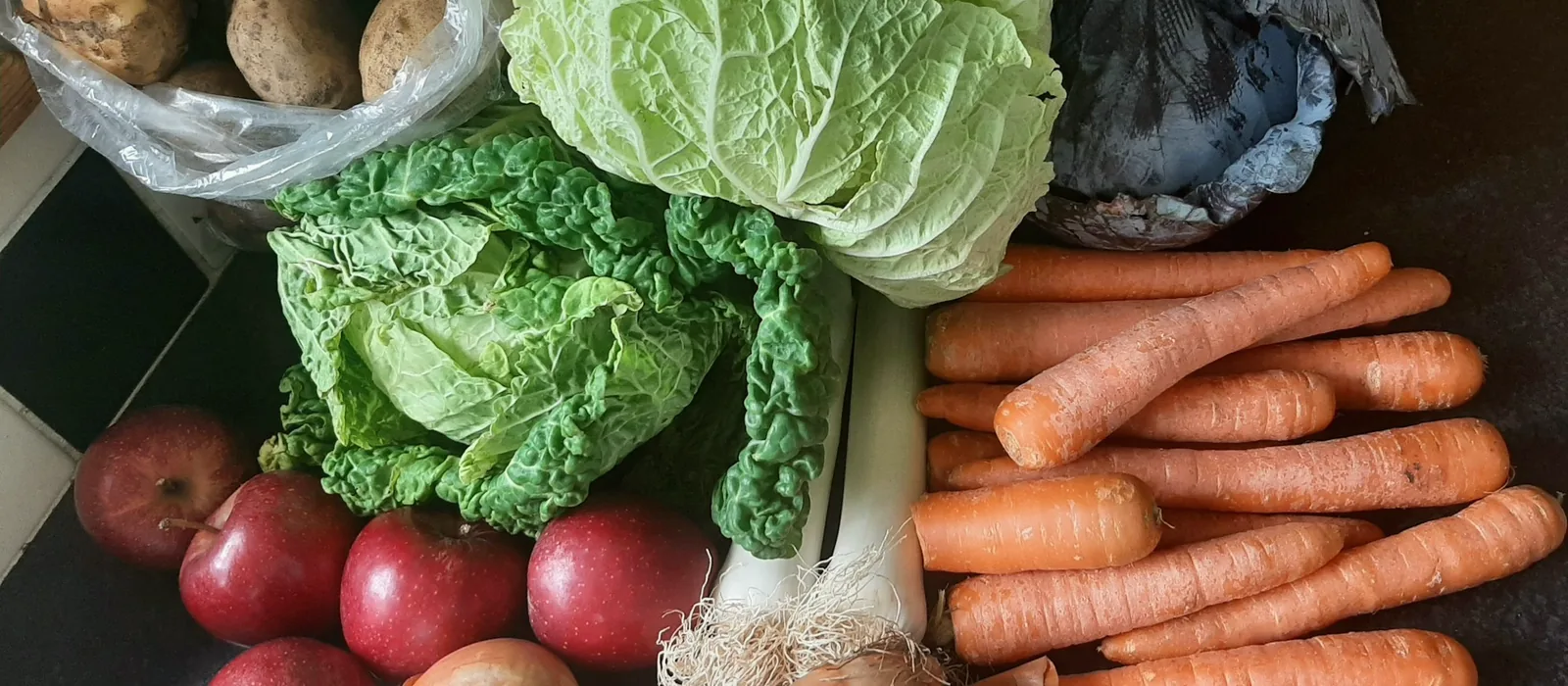 Chou, carottes, pommes de terre, oignons et pommes posés ensemble